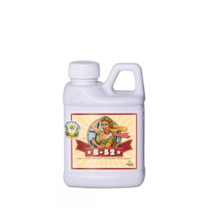 B-52 Fertilizer Booster 250 ml