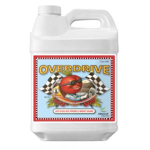 Overdrive 10 L