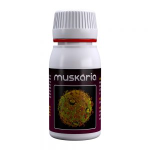 Muskaria 60 ml