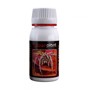 Spider Plant 60 ml