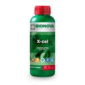BN X-Cel 1 L