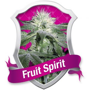 Fruit spirit