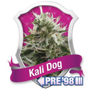 Kali Dog
