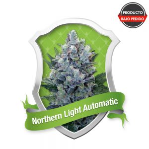 Northern Light Automatic