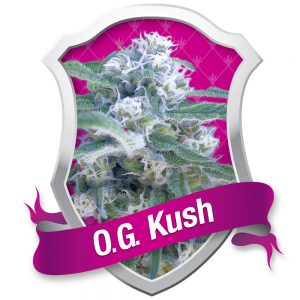 O.G. Kush
