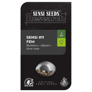 Cobalt Haze (antigua Sensi #11)