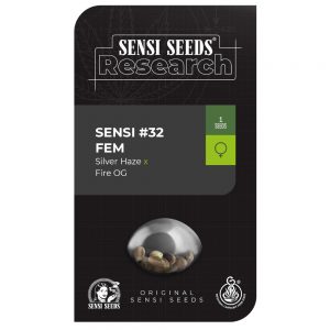 Silver Fire (antigua Sensi #32)