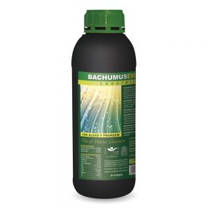 Bachumus Evolution crecimiento 1L