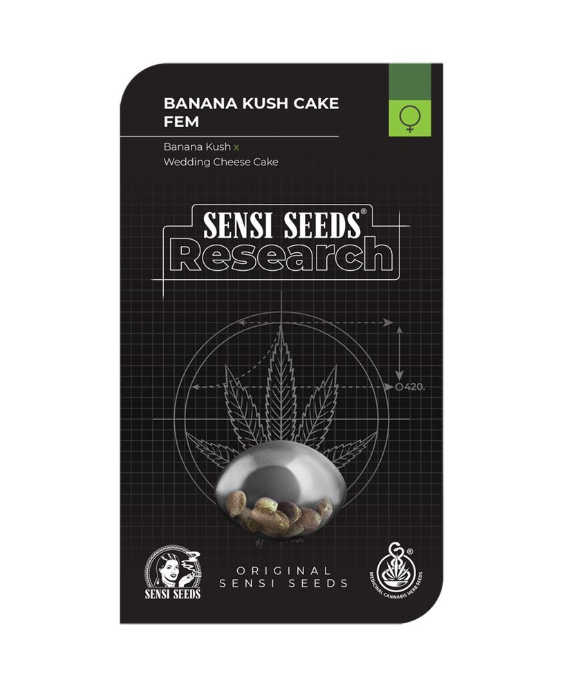 banana-kush-cake-feminizadas-xl_BSS.074_6fn6-8g.jpg