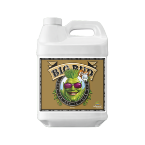 Big Bud Coco Liquid 500 ml