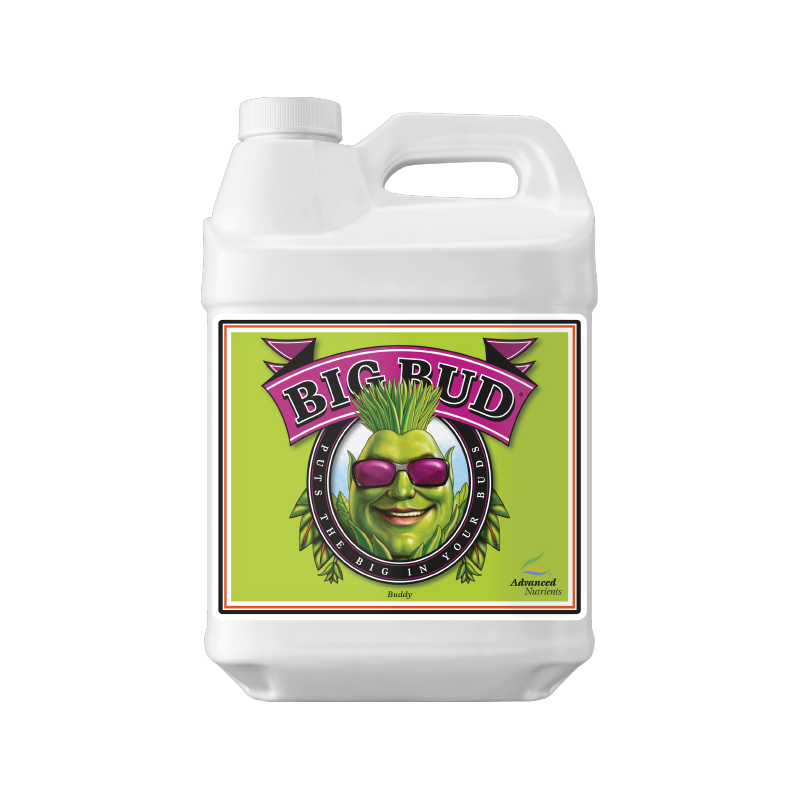 Big Bud Coco Liquid 250 ml