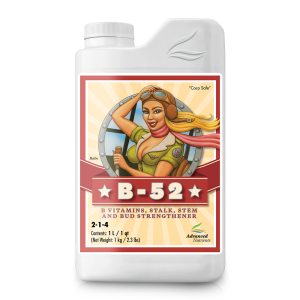 B-52 Fertilizer Booster 1 L