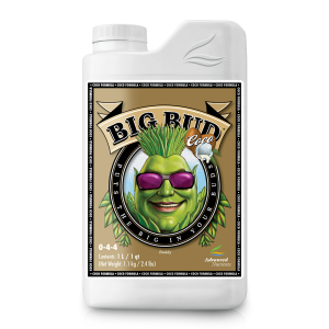 Big Bud Coco Liquid 1 L