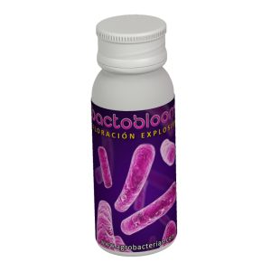 Bactobloom 10 g