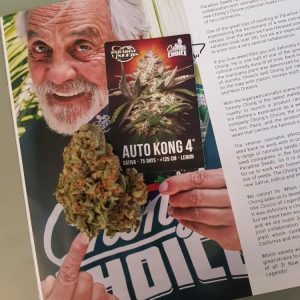 Alternative view of Auto Kong 4