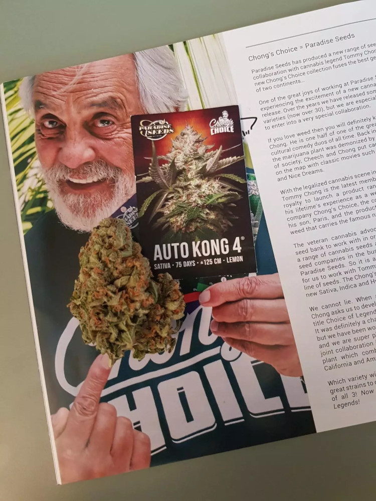 Auto Kong 4 - Imagen 2