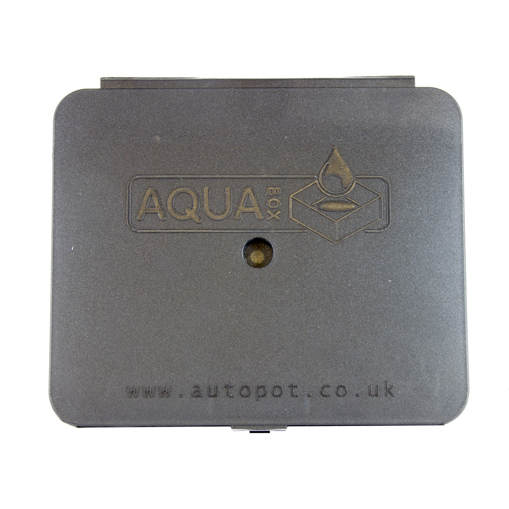 AQUAbox Straight - Imagen 2