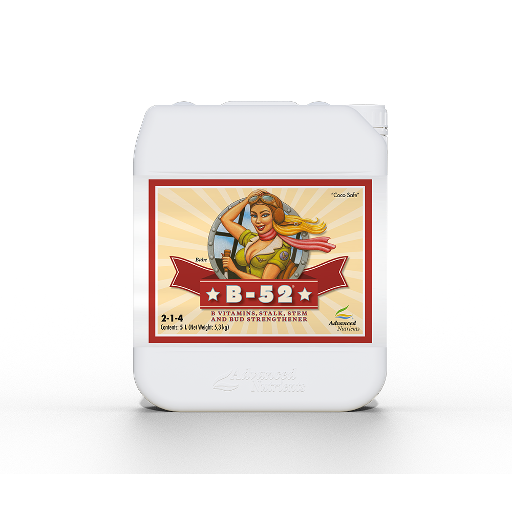 B-52 Fertilizer Booster 5L