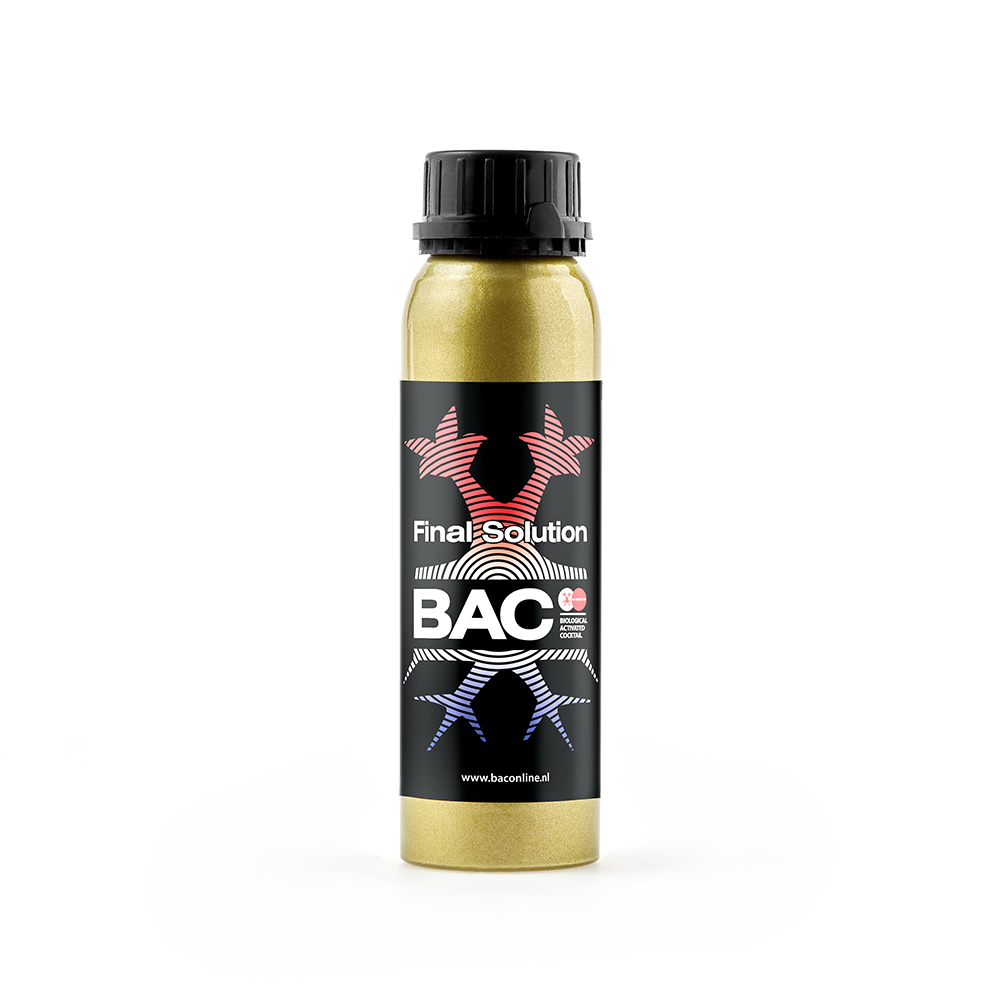 Final Solution 300 ml