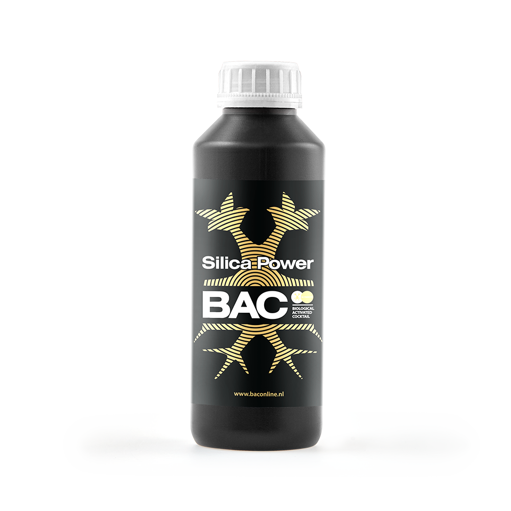 Silica Power 500 ml