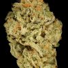 Zkittlez 5 fem.