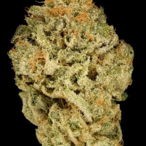 Zkittlez 5 fem.