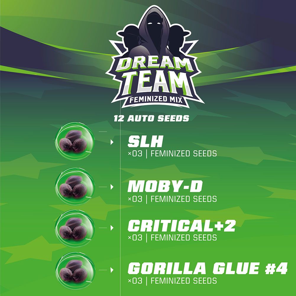 Dream Team Feminized Mix