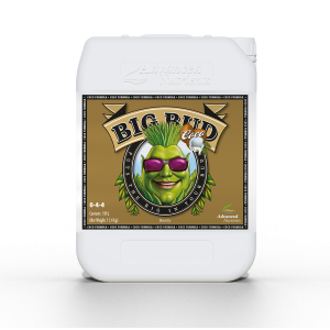 Big Bud Coco Liquid 10 L