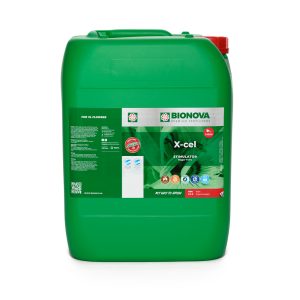 Alternative view of BN X-Cel 20L