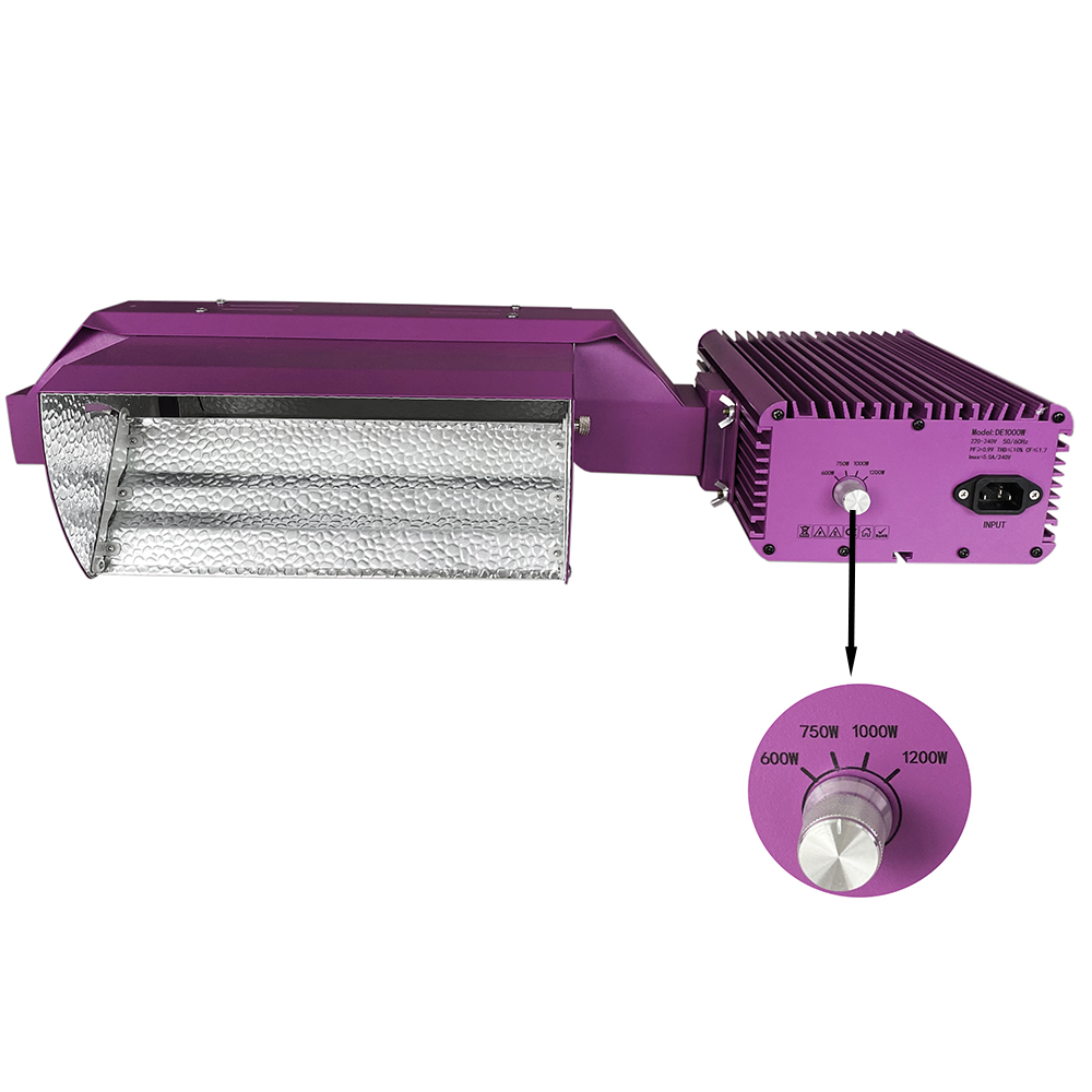 Equipo 1000w MJ3 DE - Imagen 2