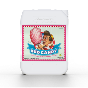 Bud Candy 10 L