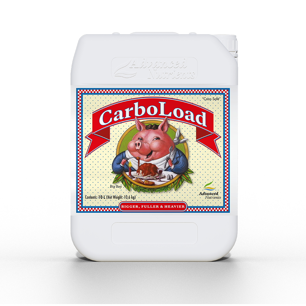 CarboLoad Liquid 10 L