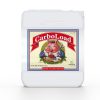 Carboload Liquid 20L