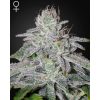 Franco´s Lemon Cheese