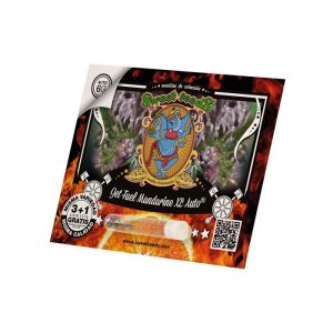 Alternative view of Jet Fuel Mandarine XL Auto