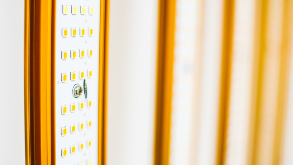 LED 1000w GOLD PRO EVO - Imagen 4
