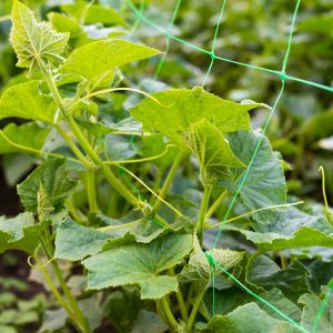 Alternative view of Malla Scrog 2x500 Verde