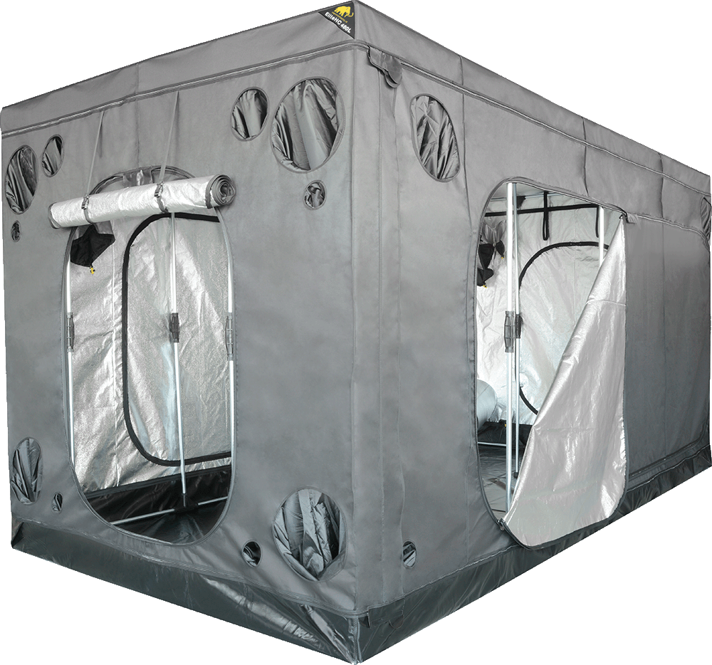 Armario Elite + HC 480L Mammoth 240 x 480 x 240 cm