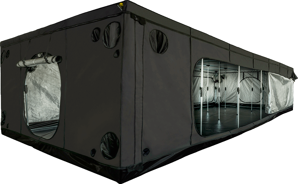 Armario Elite + HC 900L Mammoth 450 x 900 x 240 cm