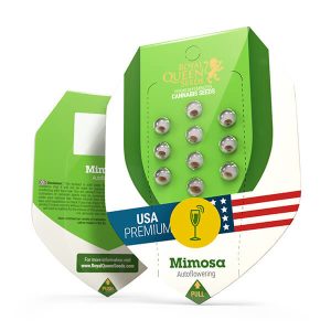 Alternative view of Mimosa Auto