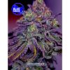 Blue Rhino