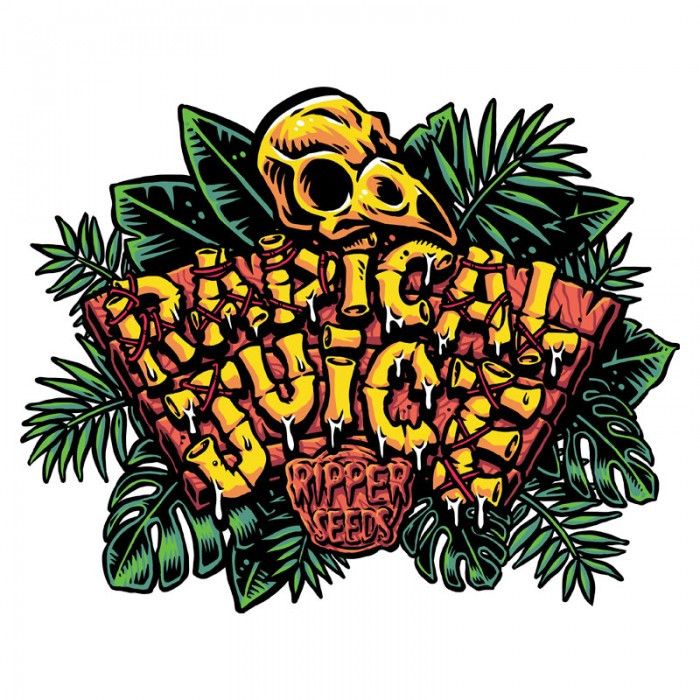 Radical Juice Auto - Imagen 2