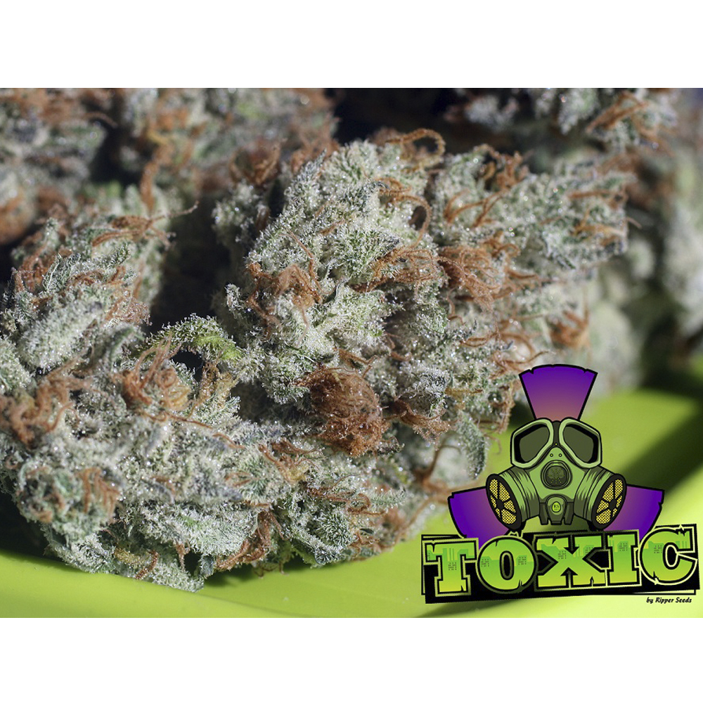 Toxic