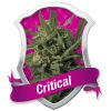 Critical