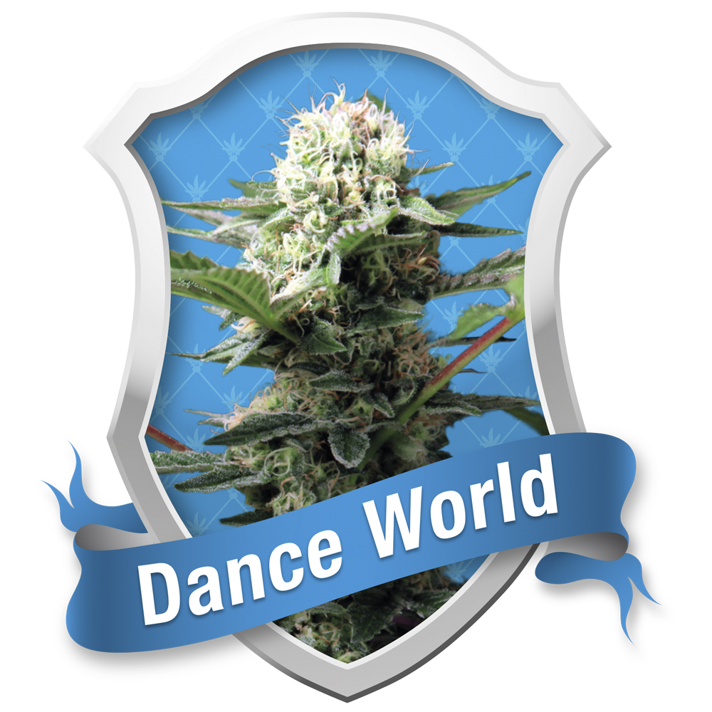 Dance World