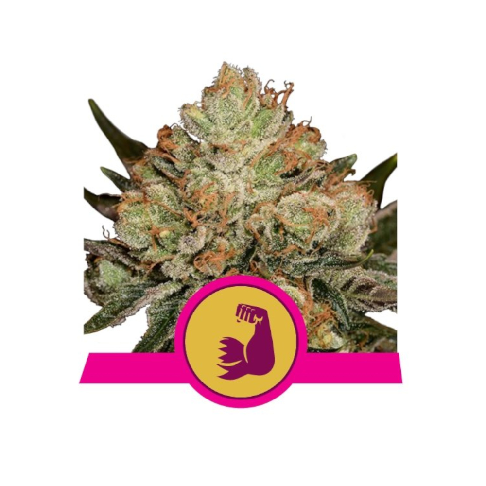 HulkBerry