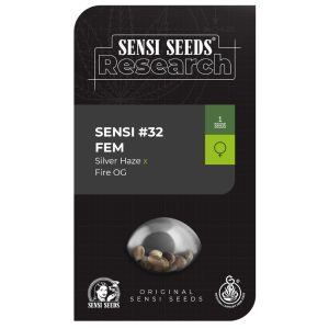 Silver Fire (antigua Sensi #32)