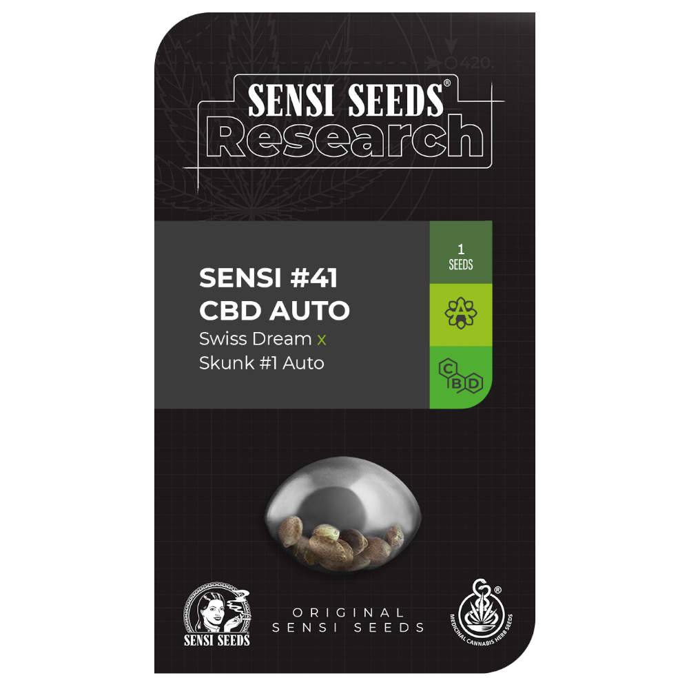 Alpine Delight CBD Auto (antigua Sensi #41 Auto)