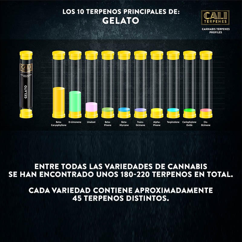 Terpenos Gelato 10ml - Imagen 2