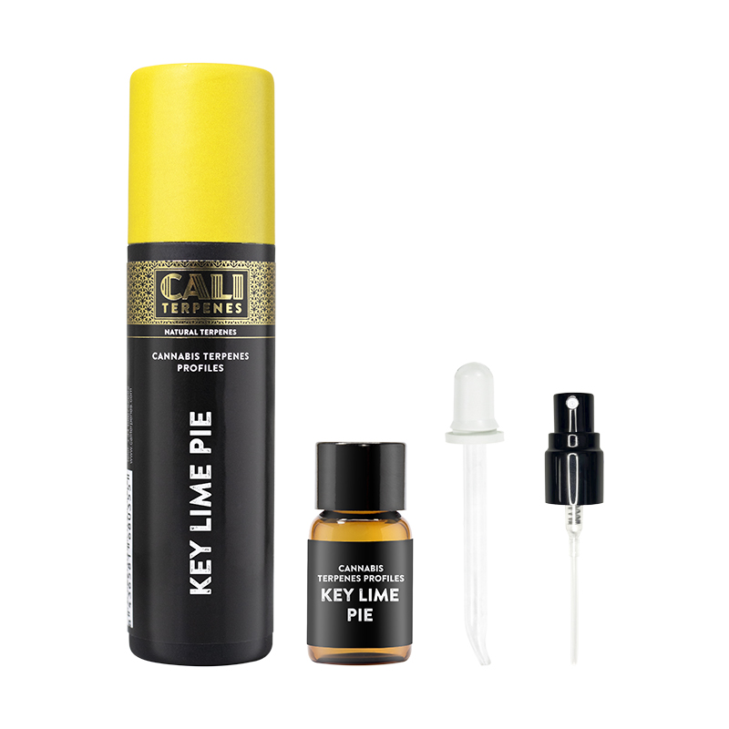 Terpenos Key Lime Pie 1ml